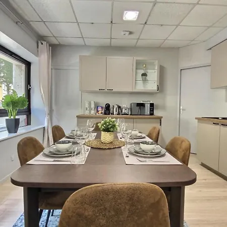Апартаменты Downtown Cozy 2 Bedrooms Public Parking Ле-Ман